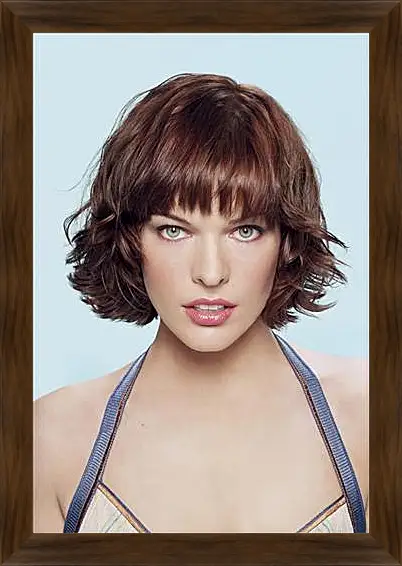 Картина в раме - Milla Jovovich - Милла Йовович
