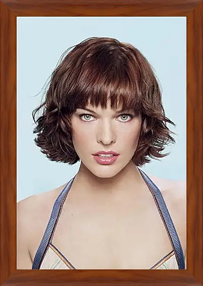 Картина в раме - Milla Jovovich - Милла Йовович
