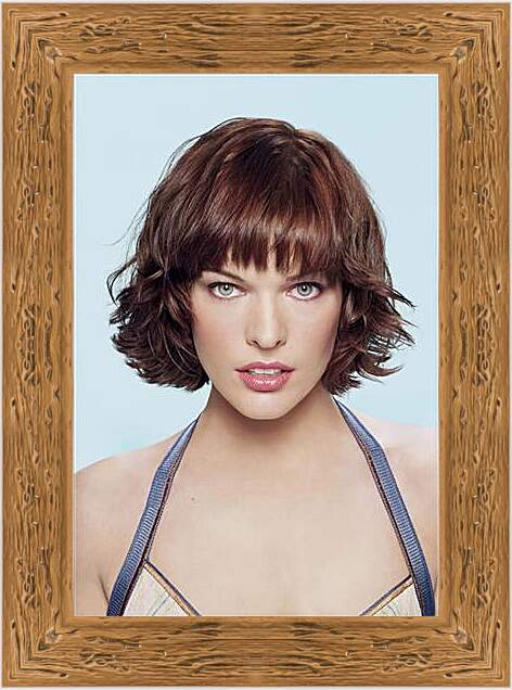 Картина в раме - Milla Jovovich - Милла Йовович
