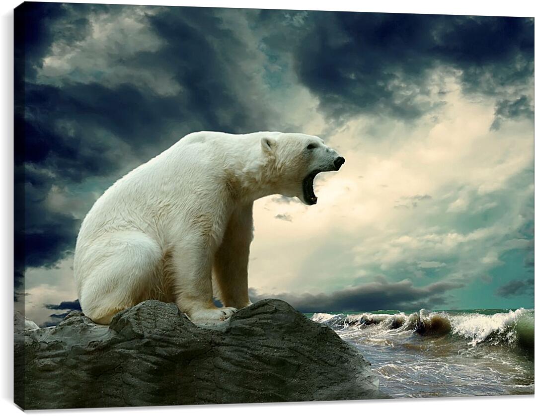 Постер и плакат - Белый медведь