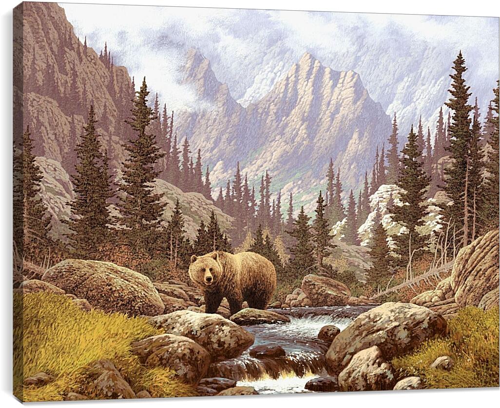 Постер и плакат - Медведь