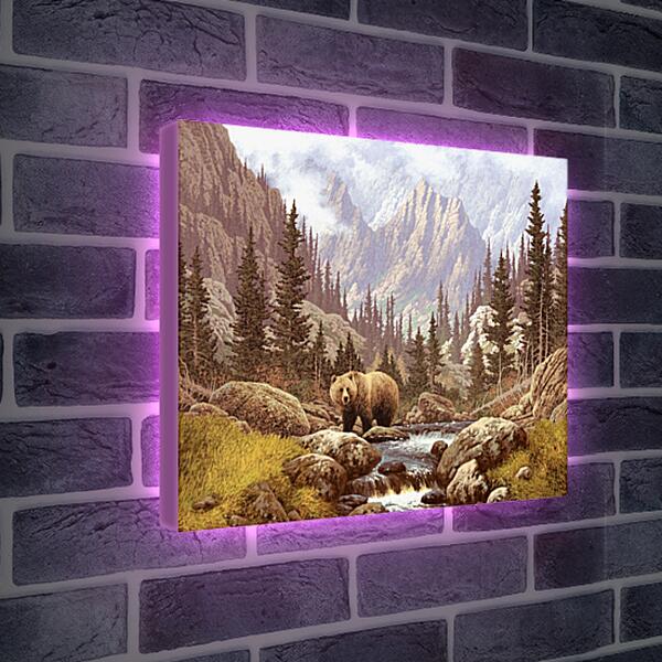 Лайтбокс световая панель - Медведь