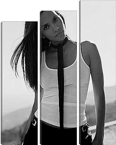 Модульная картина - Halle Berry - Холли Берри
