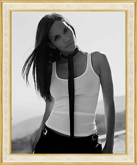 Картина в раме - Halle Berry - Холли Берри
