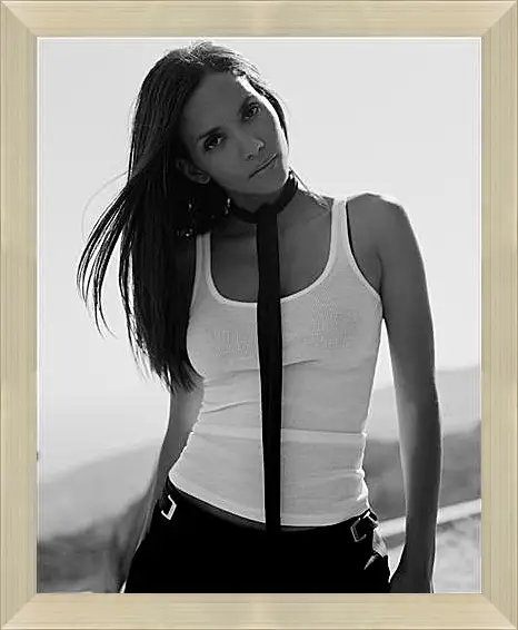 Картина в раме - Halle Berry - Холли Берри
