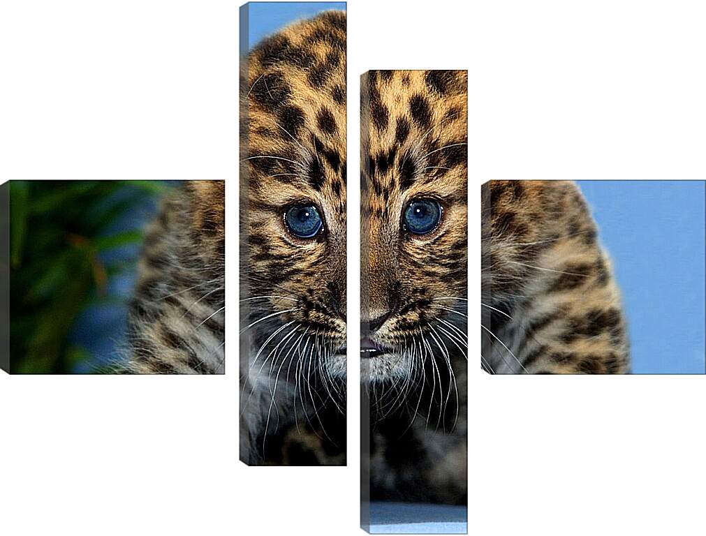 Модульная картина - Детеныш леопарда
