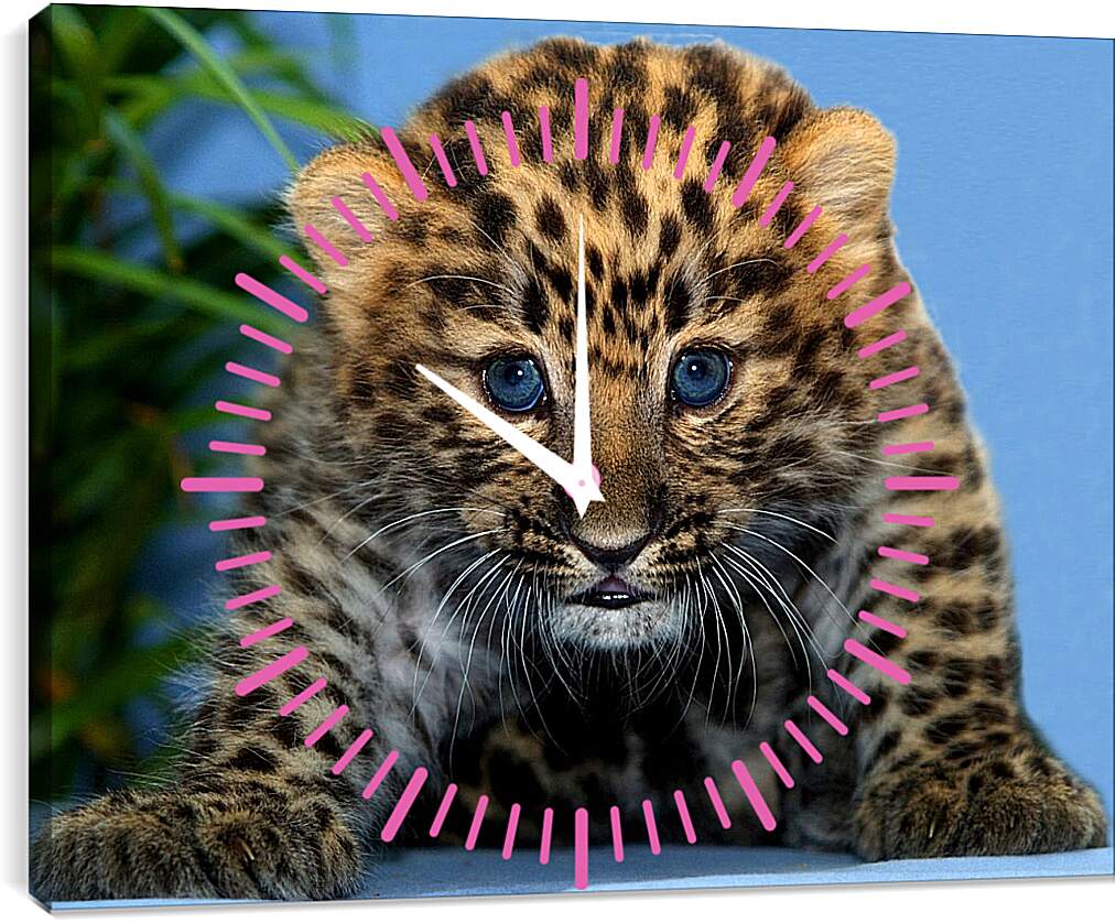 Часы картина - Детеныш леопарда