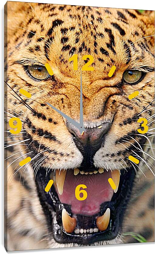 Часы картина - Леопард