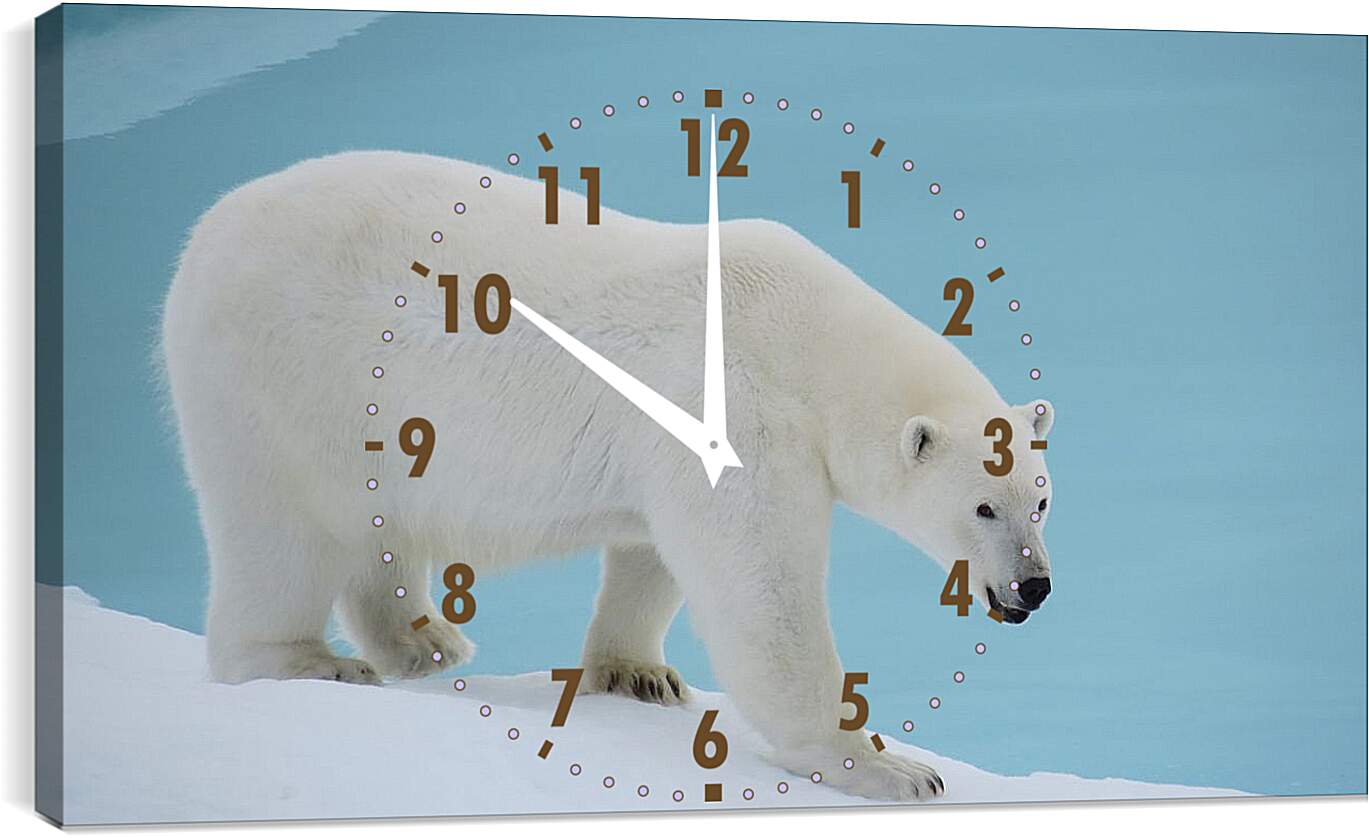 Часы картина - Белый медведь