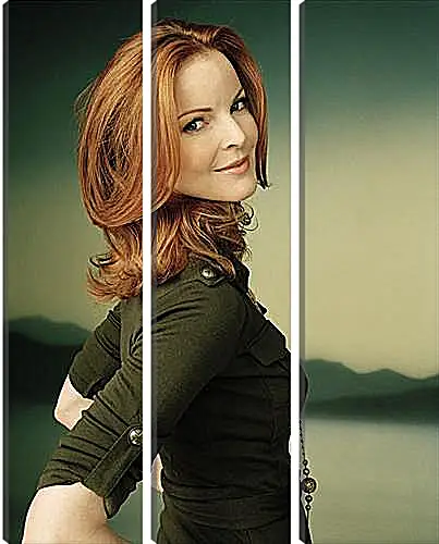 Модульная картина - Marcia Cross - Марсия Кросс
