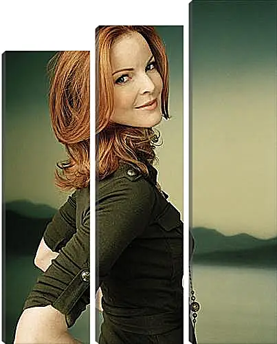 Модульная картина - Marcia Cross - Марсия Кросс
