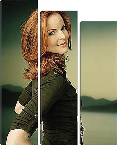 Модульная картина - Marcia Cross - Марсия Кросс
