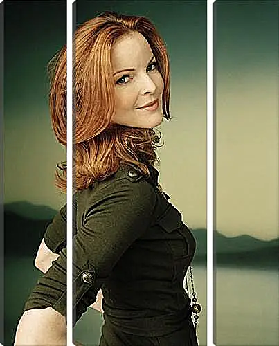 Модульная картина - Marcia Cross - Марсия Кросс
