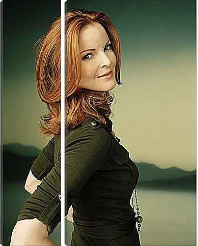 Модульная картина - Marcia Cross - Марсия Кросс
