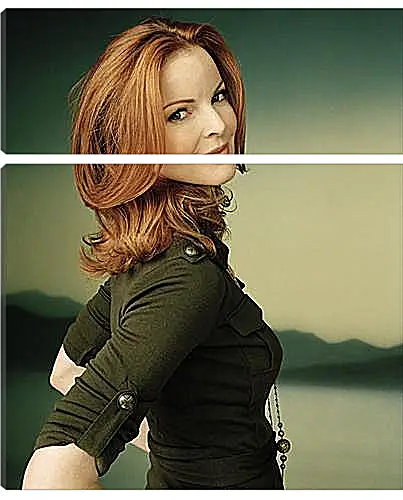 Модульная картина - Marcia Cross - Марсия Кросс
