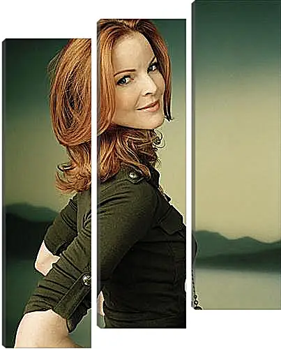 Модульная картина - Marcia Cross - Марсия Кросс
