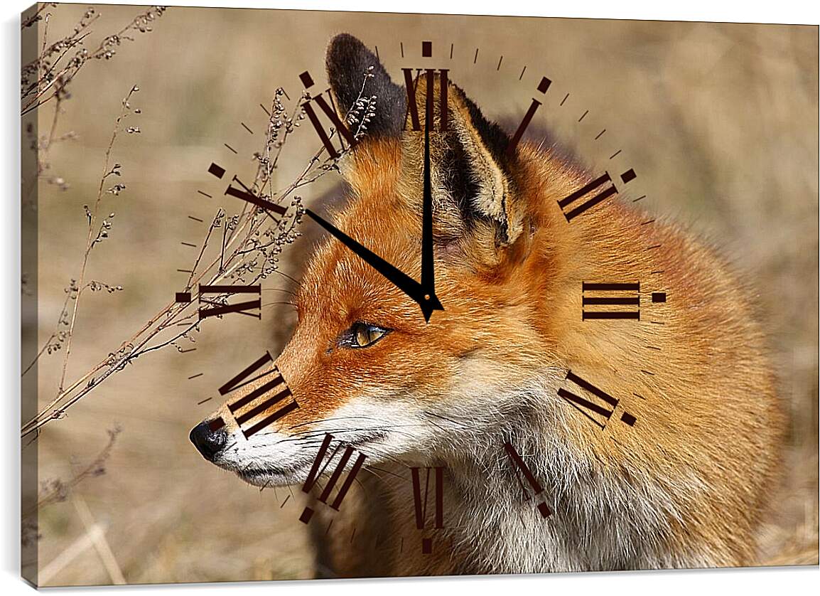 Часы картина - Лисица