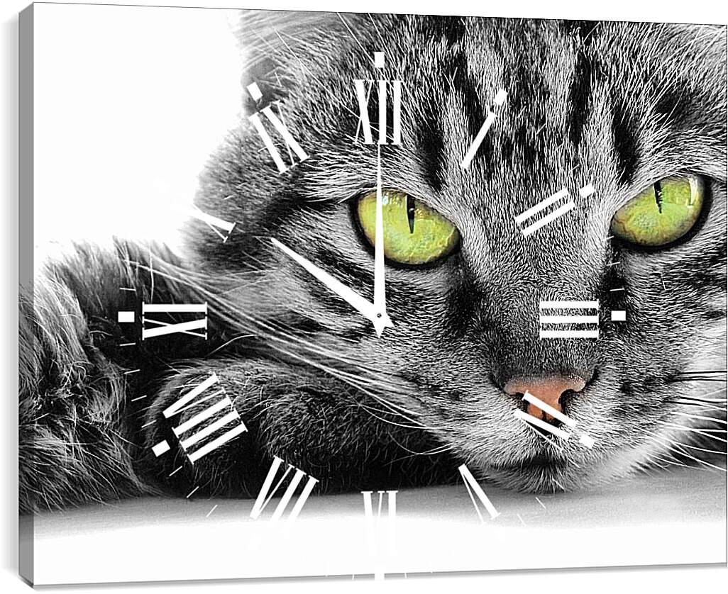 Часы картина - Кот