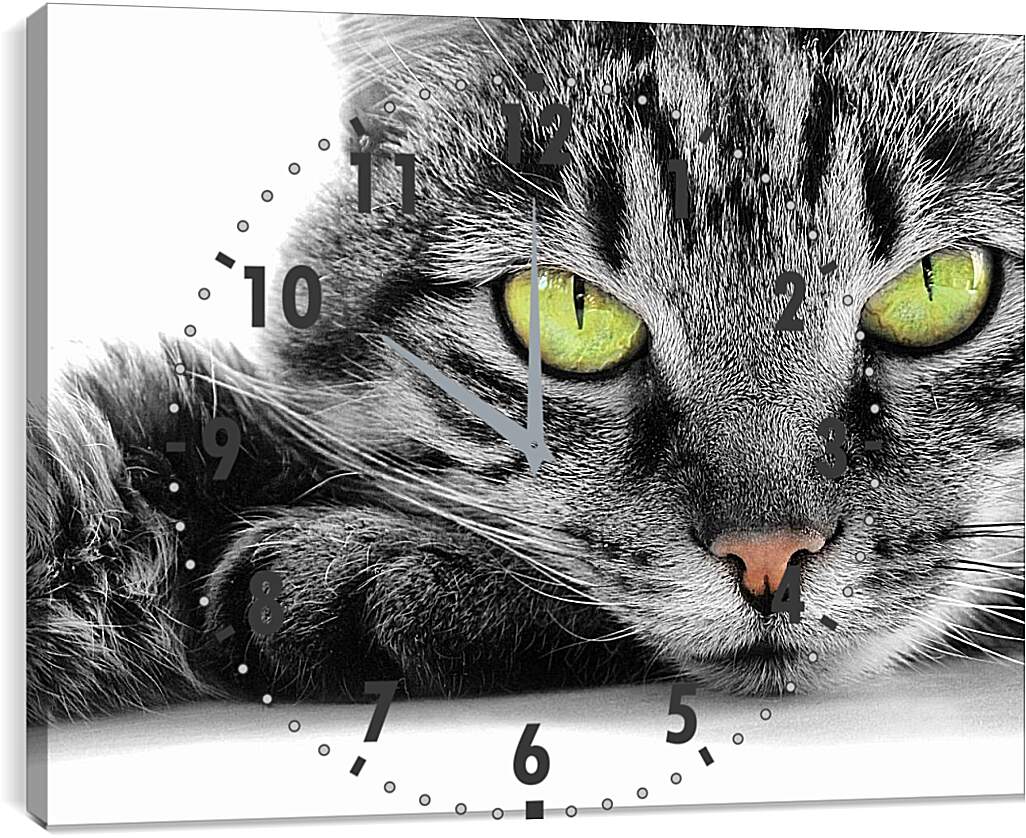Часы картина - Кот