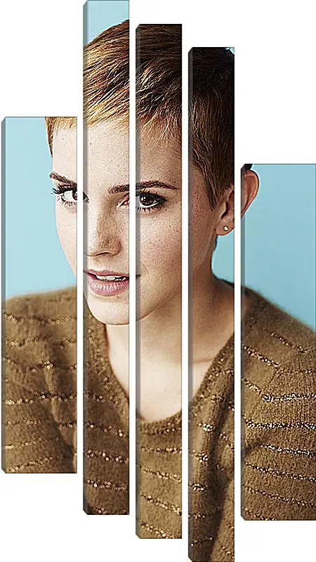 Модульная картина - Эмма Уотсон. Emma Watson