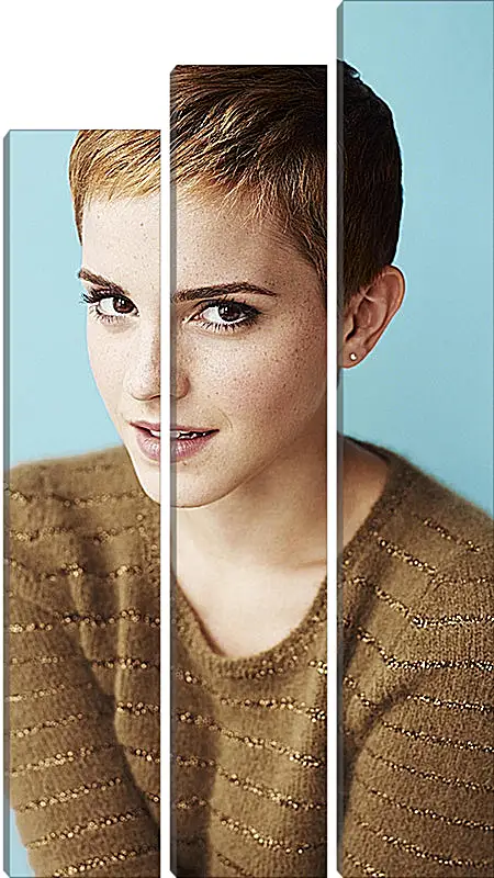 Модульная картина - Эмма Уотсон. Emma Watson