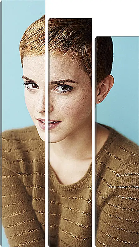 Модульная картина - Эмма Уотсон. Emma Watson