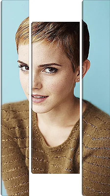 Модульная картина - Эмма Уотсон. Emma Watson