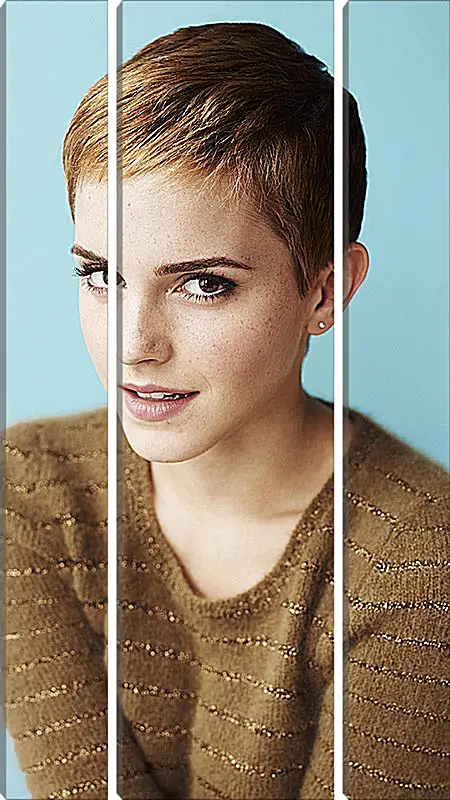 Модульная картина - Эмма Уотсон. Emma Watson