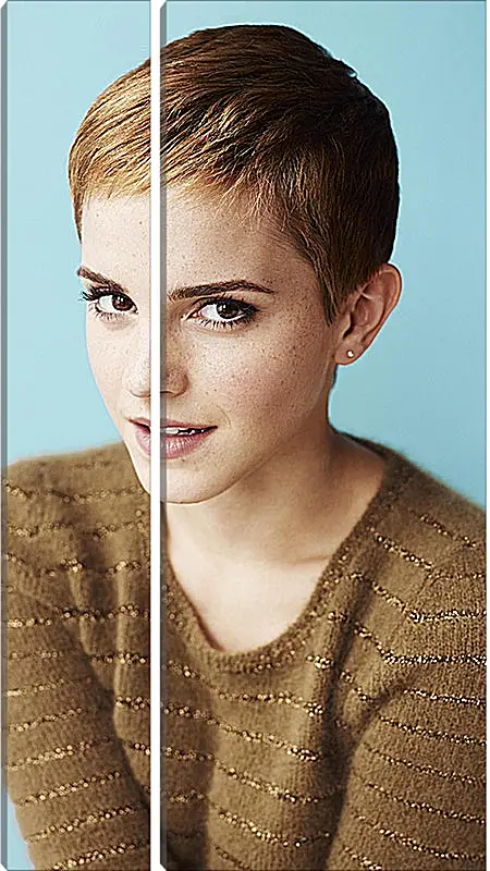 Модульная картина - Эмма Уотсон. Emma Watson