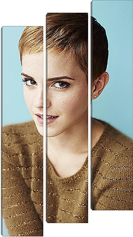 Модульная картина - Эмма Уотсон. Emma Watson