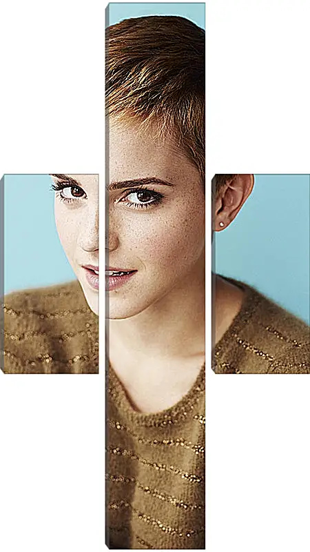 Модульная картина - Эмма Уотсон. Emma Watson