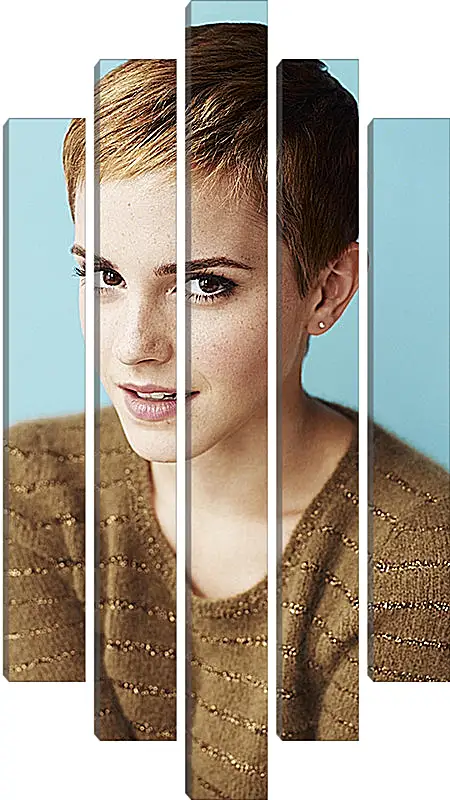 Модульная картина - Эмма Уотсон. Emma Watson