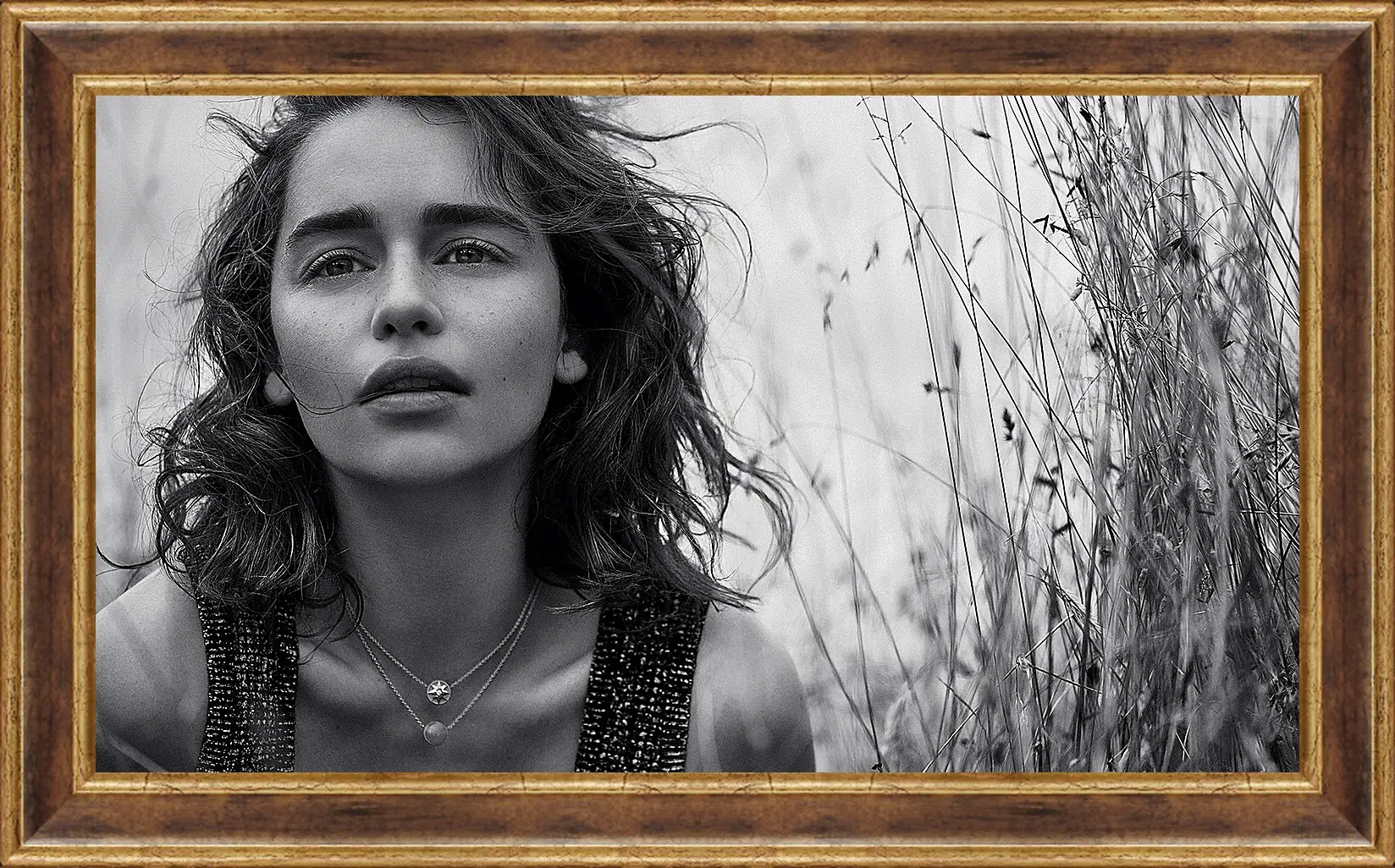 Картина в раме - Эмилия Кларк. Emilia Clarke