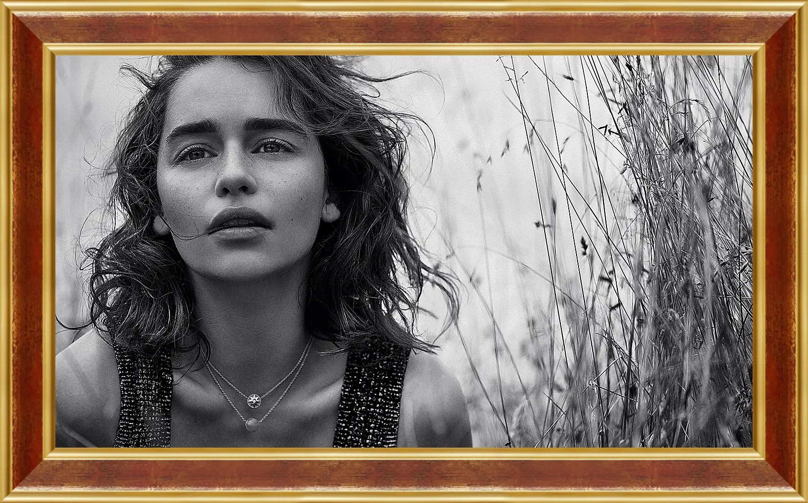 Картина в раме - Эмилия Кларк. Emilia Clarke