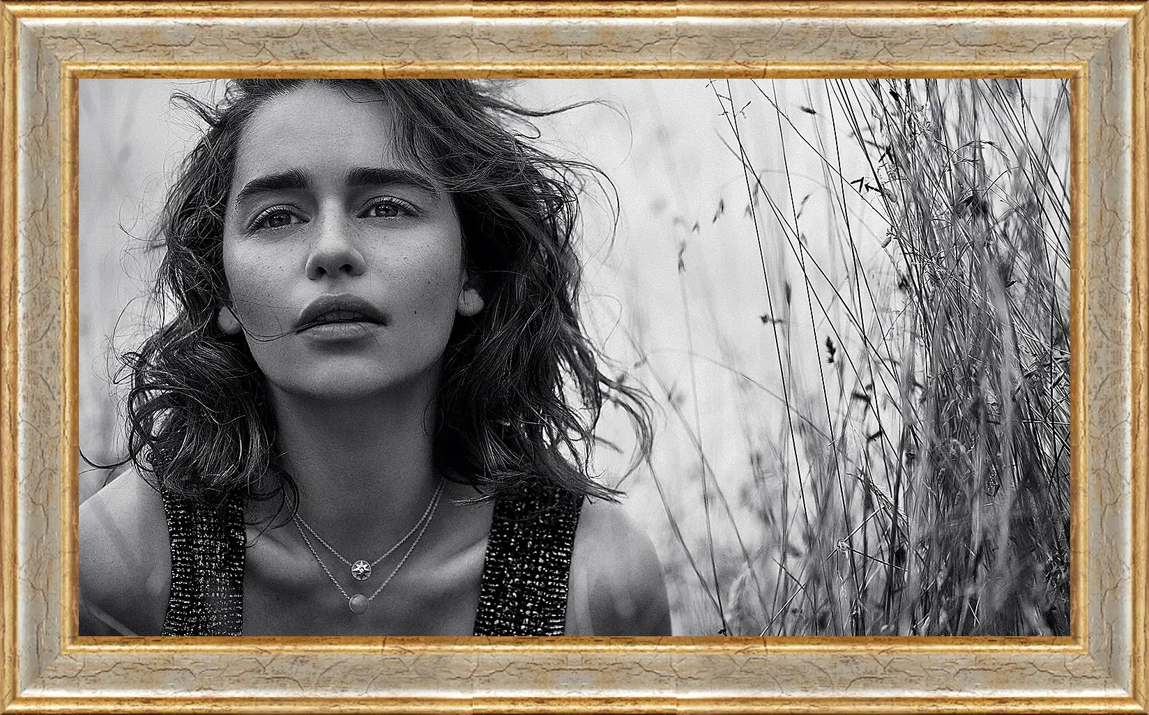 Картина в раме - Эмилия Кларк. Emilia Clarke