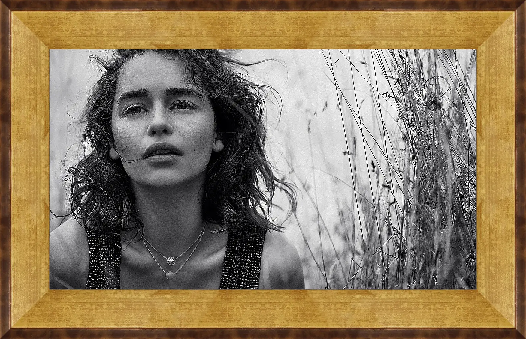 Картина в раме - Эмилия Кларк. Emilia Clarke