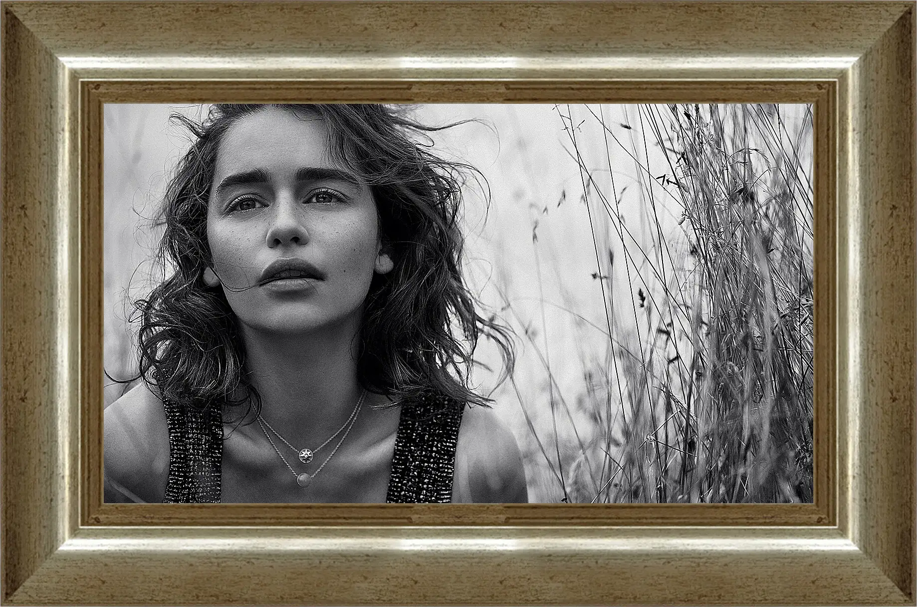 Картина в раме - Эмилия Кларк. Emilia Clarke