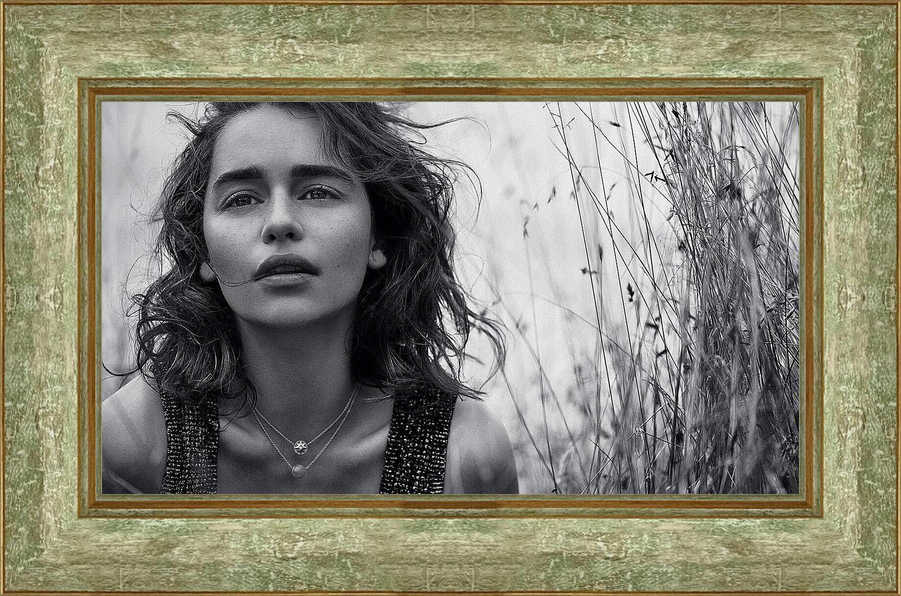 Картина в раме - Эмилия Кларк. Emilia Clarke