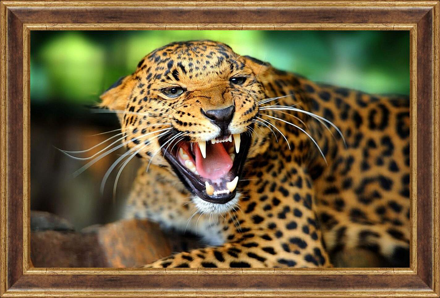 Картина в раме - Леопард
