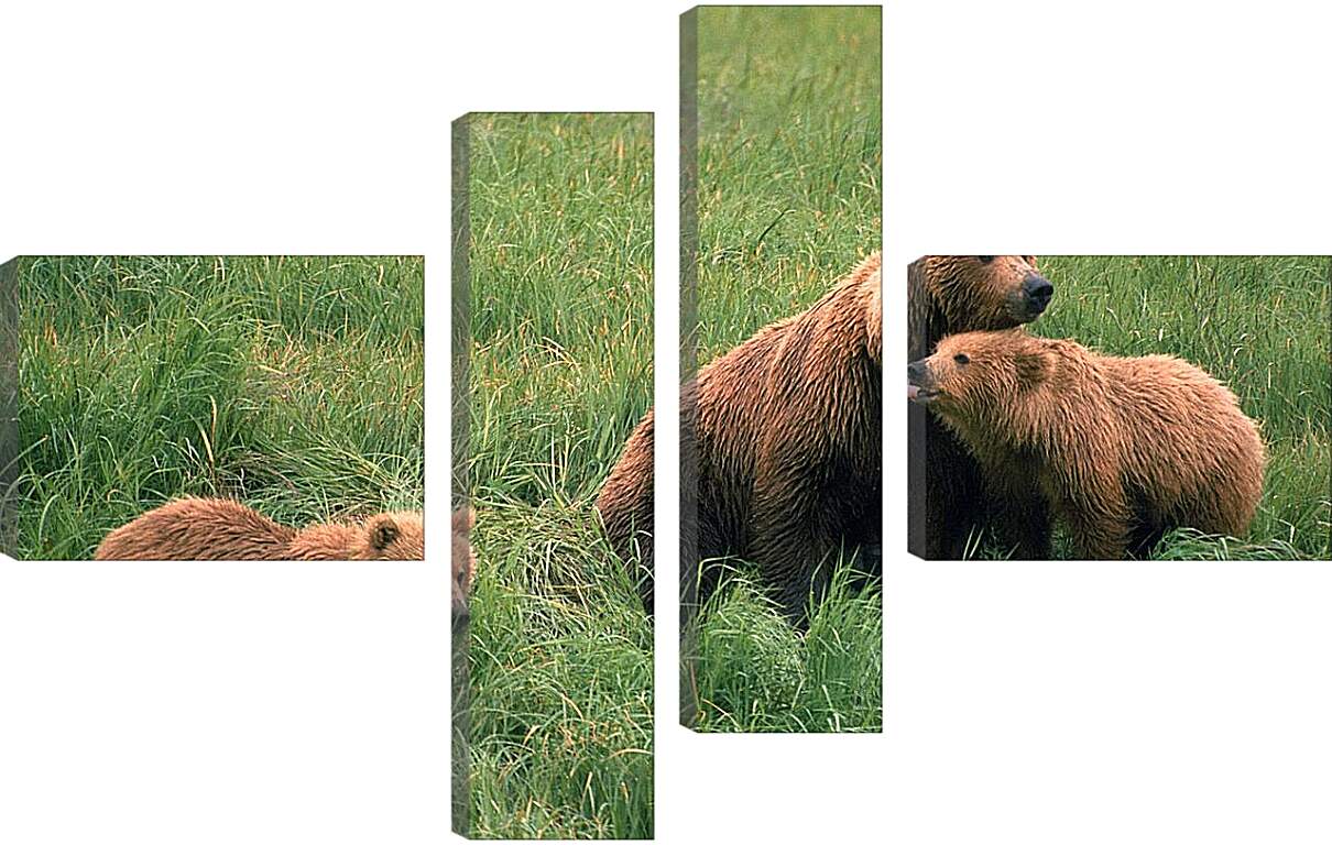 Модульная картина - Медведи
