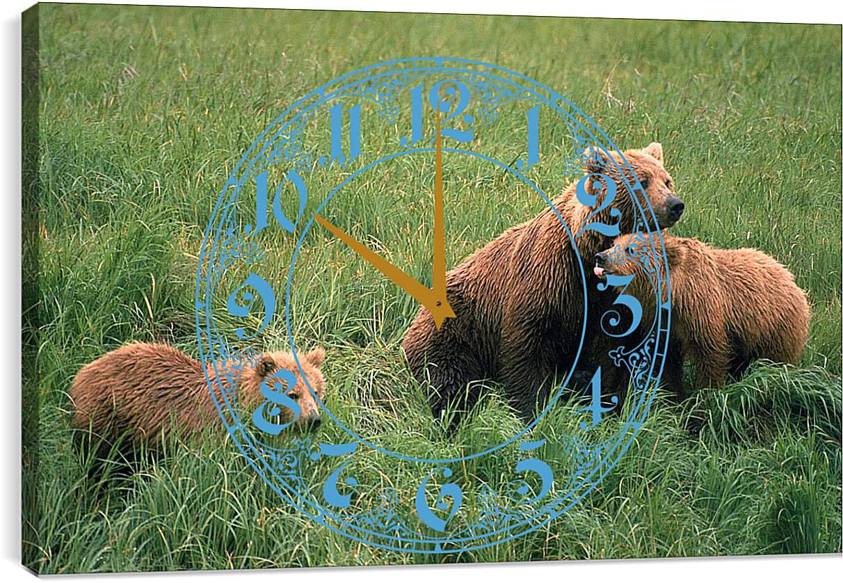 Часы картина - Медведи