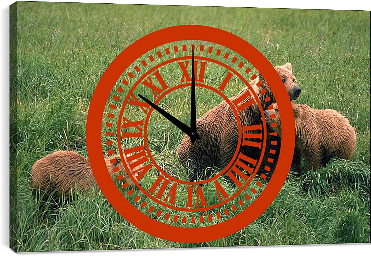 Часы картина - Медведи