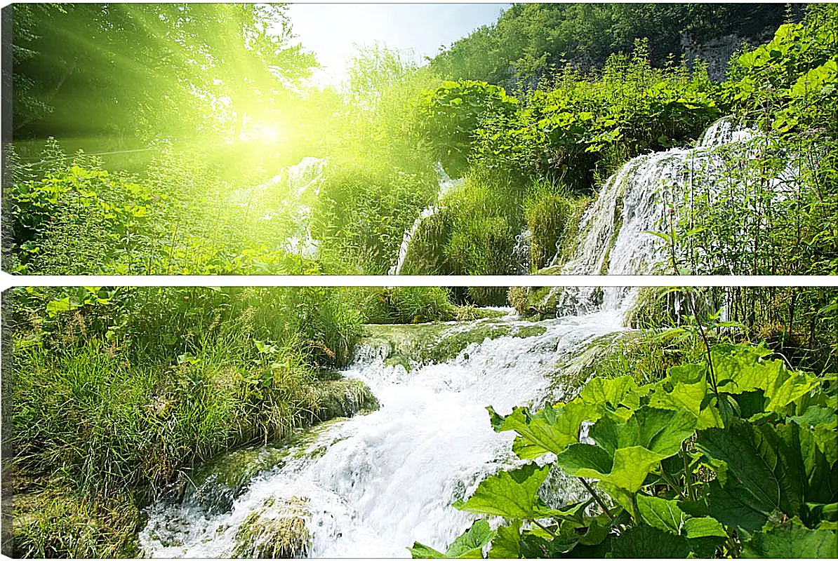 Модульная картина - Водопад в лесу под солнцем