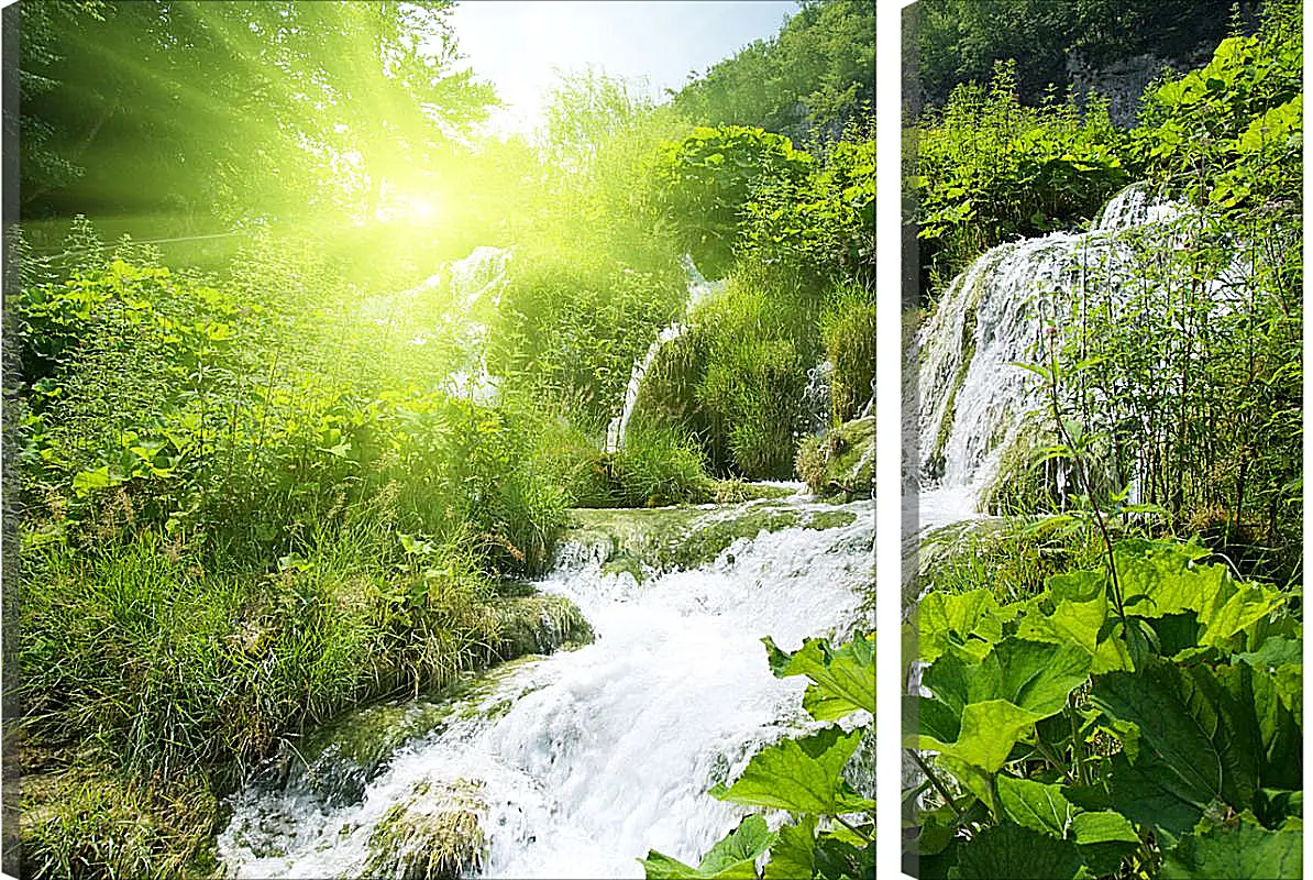 Модульная картина - Водопад в лесу под солнцем