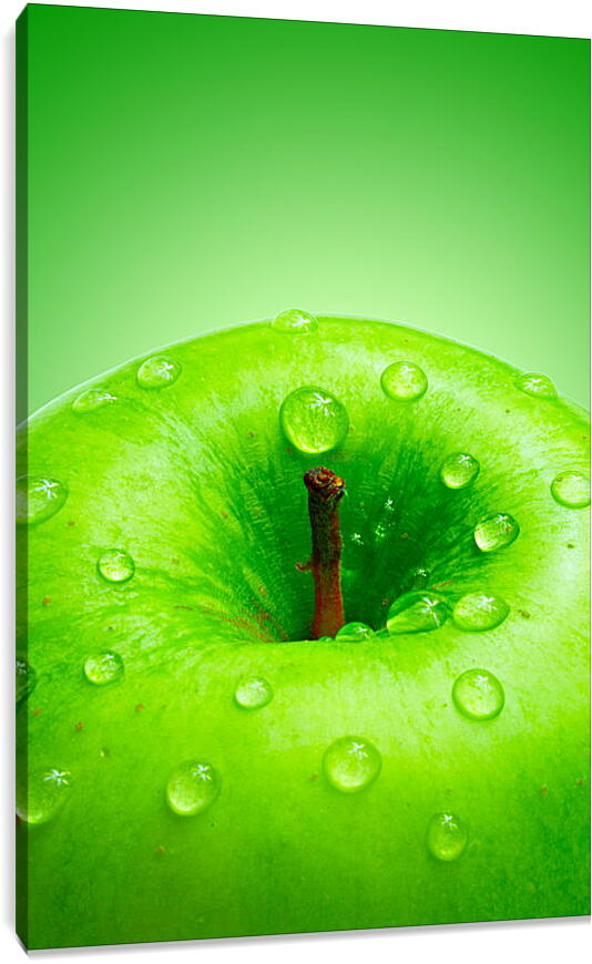 Постер и плакат - Зеленое яблоко