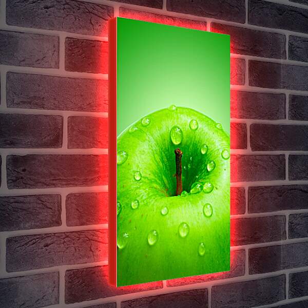 Лайтбокс световая панель - Зеленое яблоко