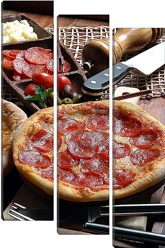 Модульная картина - Пицца с салями