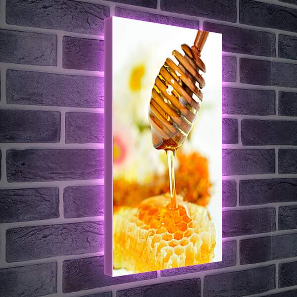 Лайтбокс световая панель - Медовые соты