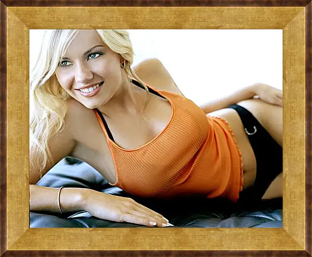 Картина в раме - Elisha Cuthbert - Элиша Катберт
