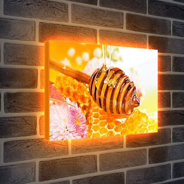 Лайтбокс световая панель - Мед и цветок